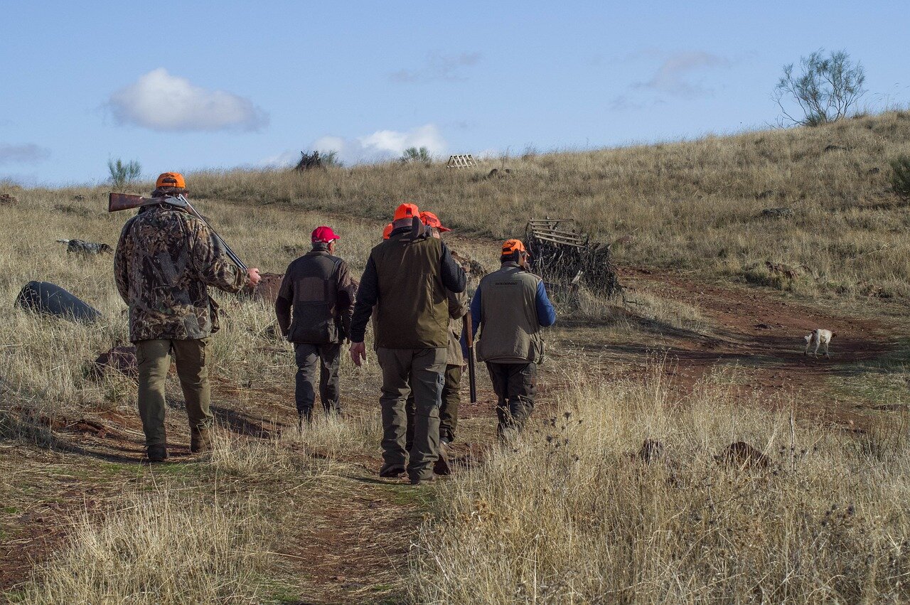 Confinement : les chasseurs seront bientôt fixés sur les modalités