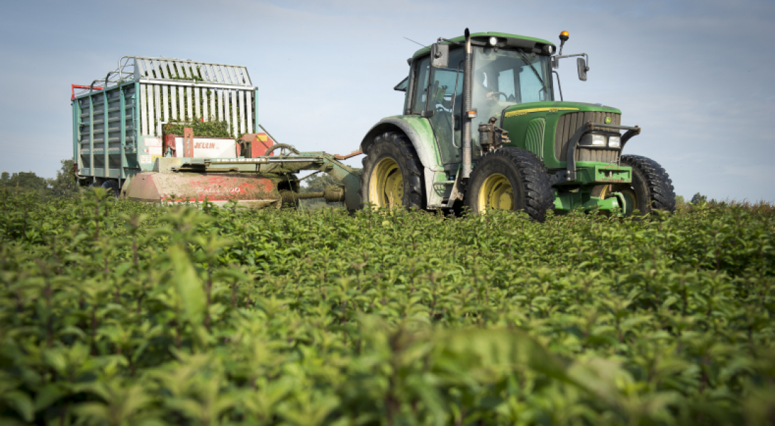 Covid-19 : Maintien de l’allocation de remplacement pour les exploitants agricoles empêchés de travailler