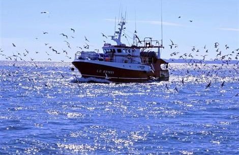 Licences de pêche : des mesures de rétorsion à l’égard du Royaume-Uni