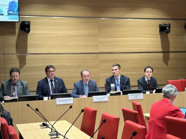 Financement des SDIS : 12 mesures pour conforter notre modèle de sécurité civile